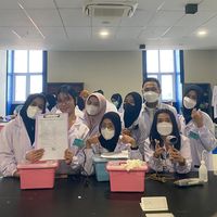 original sound - cejuhprak