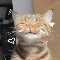 alabanzasalcielo