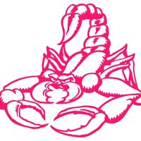 scorpion.rose