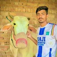 original sound - islamgujjar402