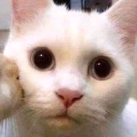 mellamoruthh