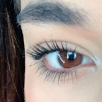 mel.cn1116