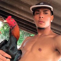 bispo.galo.doido