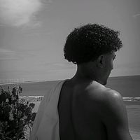 vberg_05