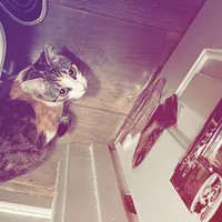 Depeche Mode Enjoy The Silence