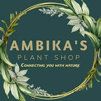 ambikaplantshop