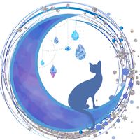 practicalmagicstorewilmy