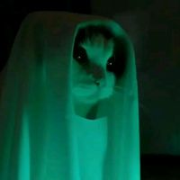 _77_anonima_