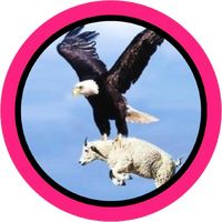 原声 - ShortsFunShow笑死方休☑️