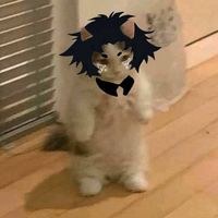 devilc.ryo
