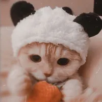 original sound - ur._.girl.bel_and.bella2