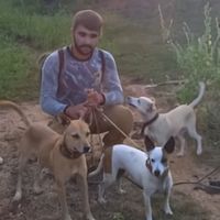 user490320663