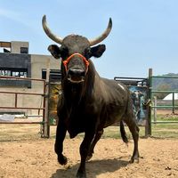 ranchosanmartintepoz