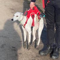 exactlywhoyouthinkitis2