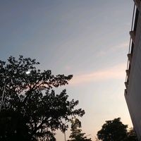 suara asli - ricco