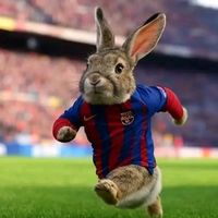 tufutbolista84