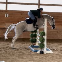 loks.eq