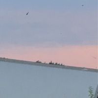blue_thoughts_only5