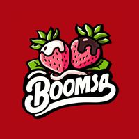 boomsa.co
