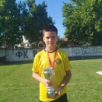 dariolikoski