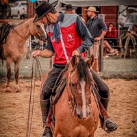 alessandro.roque8