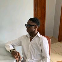 sylon_brax
