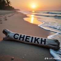 thiamcheikh08