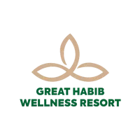 original sound - greathabibwellnessresort