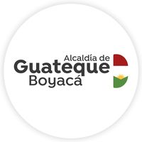 alcaldiaguateque.boy