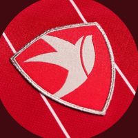 cheltenham.town.tiktoks