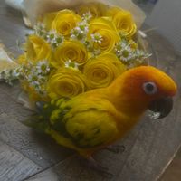 tati_doesnt_fart_anymore