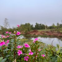 nhạc nền - 云熙 - VânHi