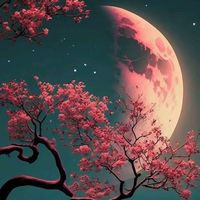 nataliaschanzembach1