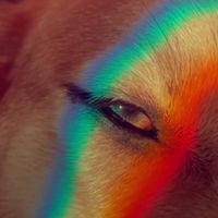 hypehouse._dog12