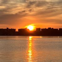 mr______savage_______