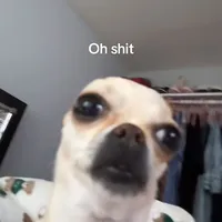 original sound - ssprinsuna