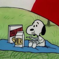 snoppy_thoughtful