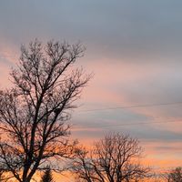 rutledge.production85