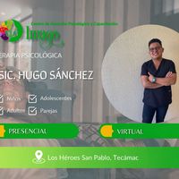 hugo_imago