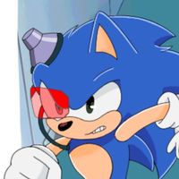 soniccybernut