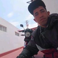 elgato.276.oficial