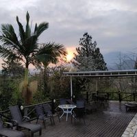 andreia.oliveira5655