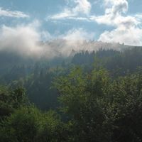 banciuioan0