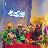 original sound - samirsenouci16