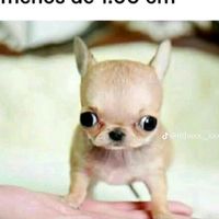 micaela_x_naofumi