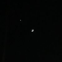 moonstar3901