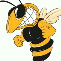 original sound - insecto765