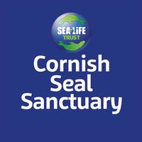 cornishsealsanctuary