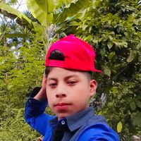 40317817quebin