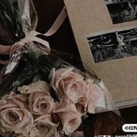 cc_351536